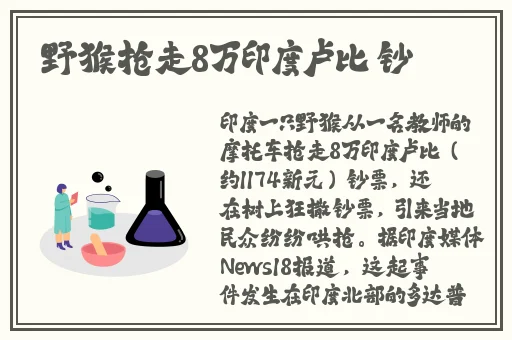 星空无限传媒国产入口