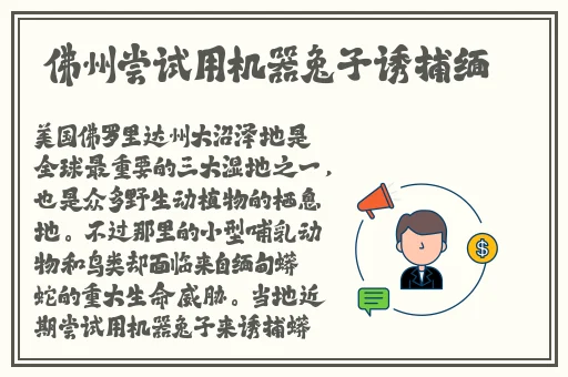 旅行者缩小进纳西妲的nk樱花动漫